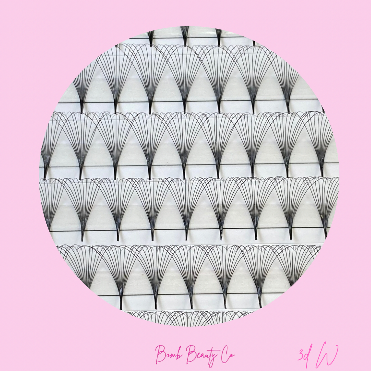 SALE - 12D Pointy Stem Eyelashes - XXL TRAY