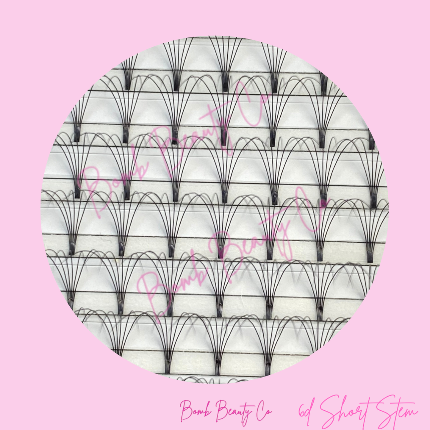 6d short stem lashes