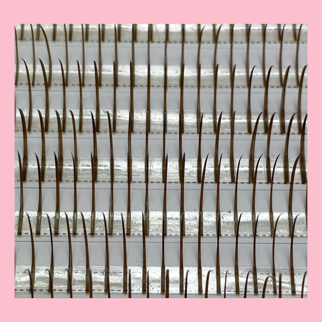 Lash Spikes - Brown