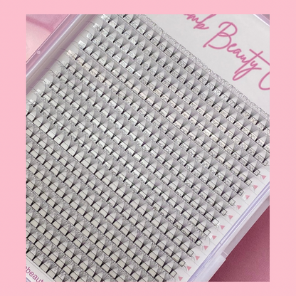 8D Short Stem Eyelashes - XXL Tray