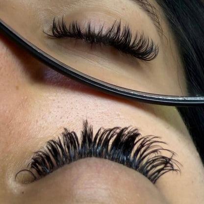 Wet Look Lashes - Black