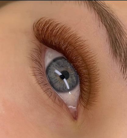 3D Brown  Pre-Made Fans