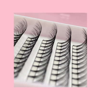 10D Short Stem Eyelashes