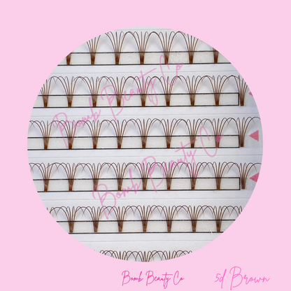 5d brown lashes