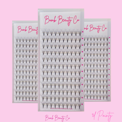 9d pointy stem lashes