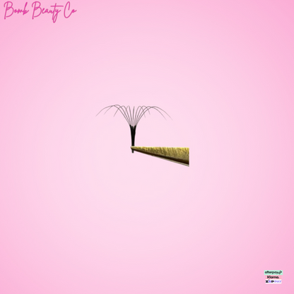 9d pointy stem lashes