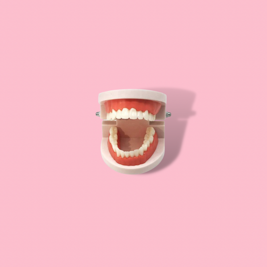 Mouth Practice Model